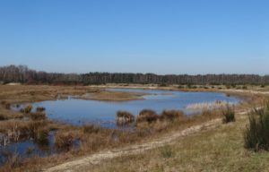 Landschap in Brabant Natuurbeleving in Brabant