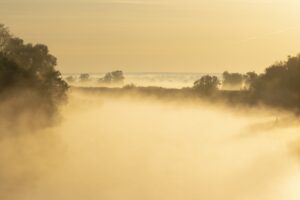 Vogelreis Oderdelta en Brandenburg