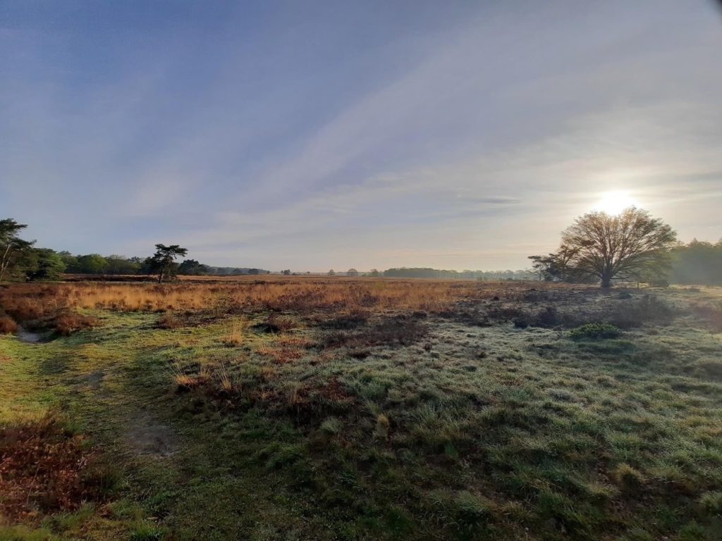 uitzicht op het Holtingerveld Nederland