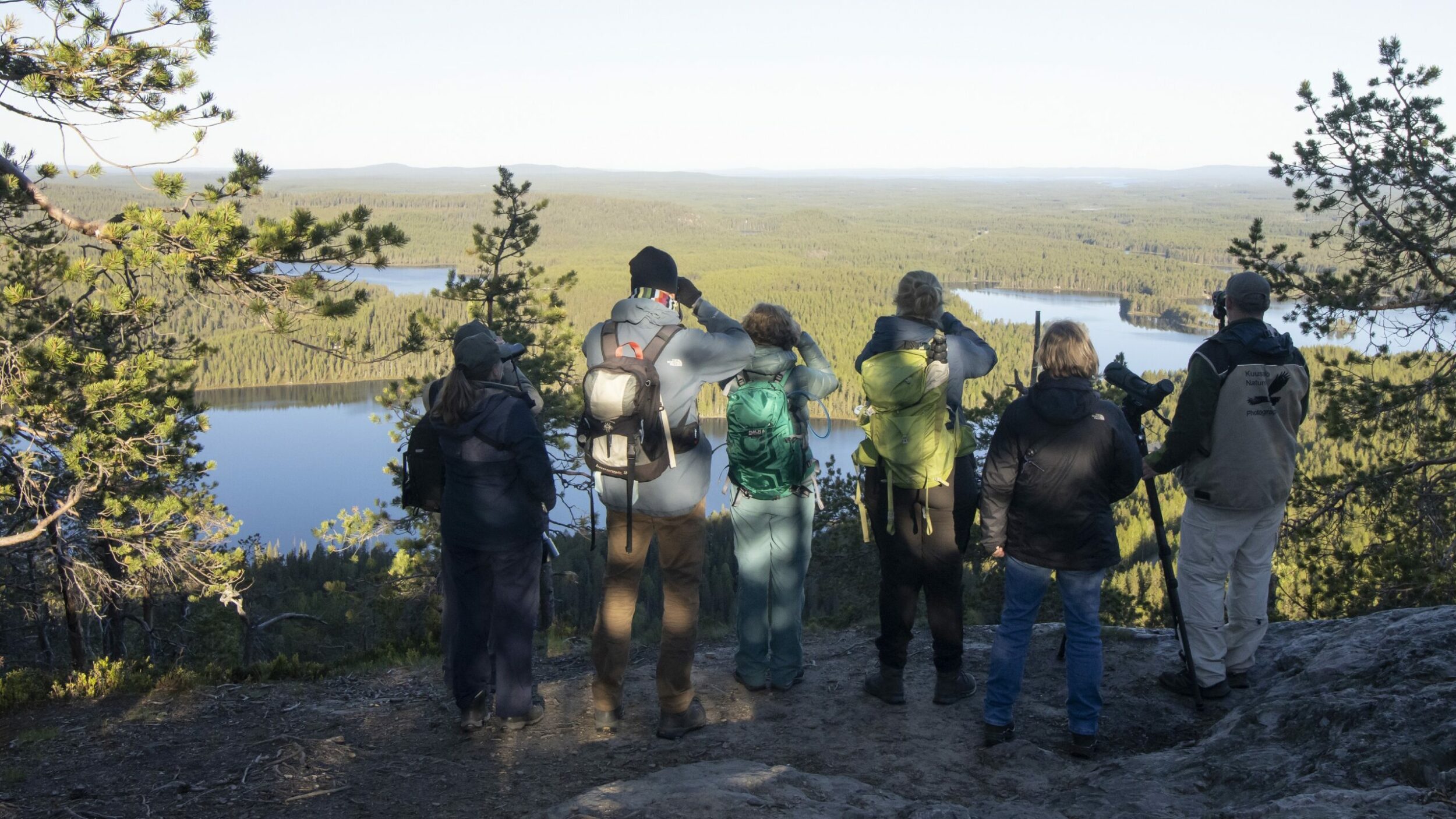 reisverslag vogels kijken in Finland en Varanger