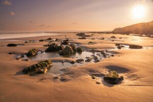 Opaalkust voorjaar (38)©Louise Poortvliet"