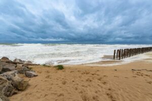 Opaalkust voorjaar (42)©Louise Poortvliet"