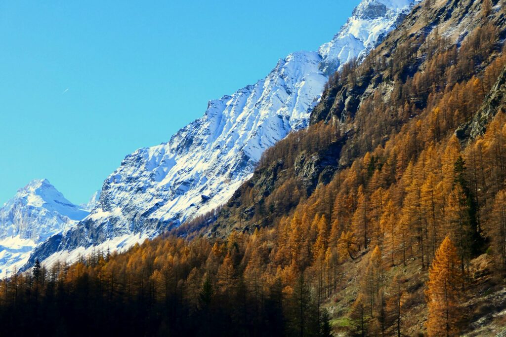 Berglandschap met sneeuw - Gran Paradiso