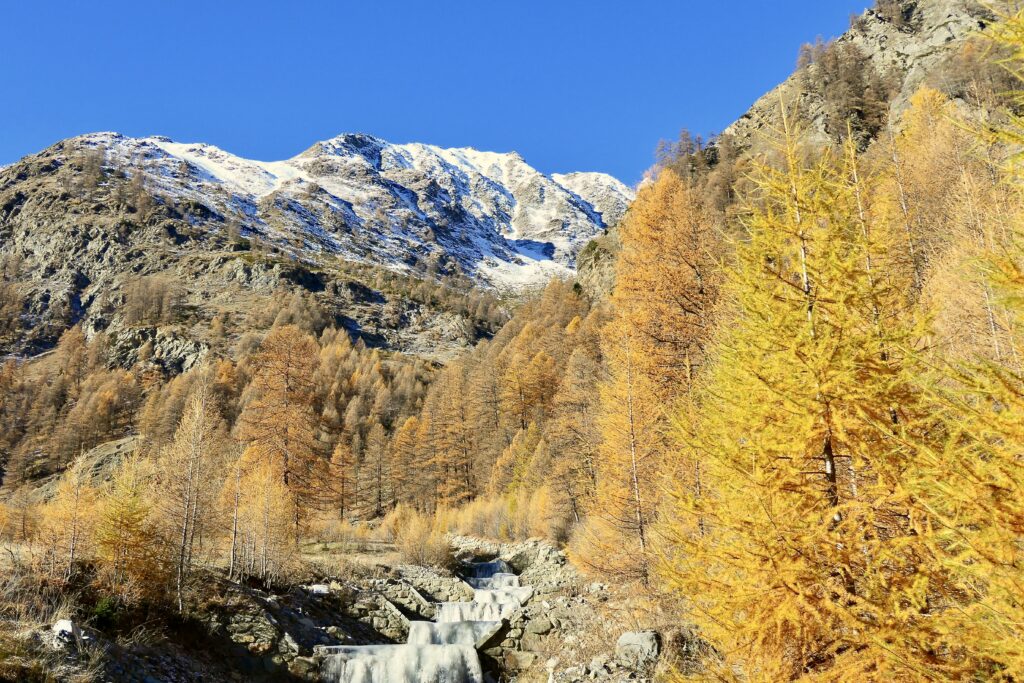 Gran Paradiso fotoreis: Steenbok en herfstkleuren