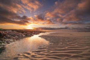 Opaalkust voorjaar (33)©Louise Poortvliet"