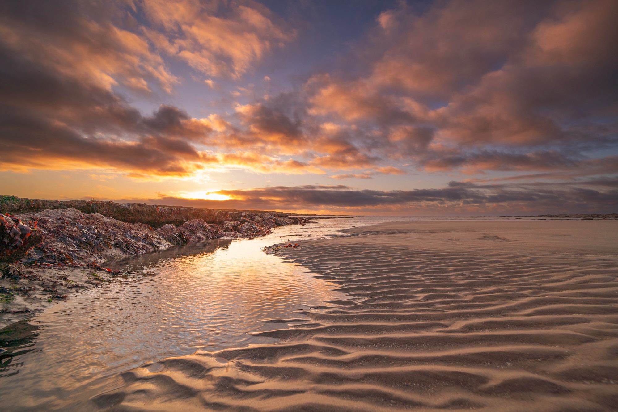 Opaalkust voorjaar (33)©Louise Poortvliet