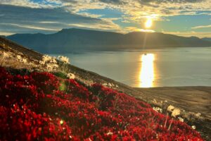 Noordoost Groenland- Kap Ovibos © Adam Turner"