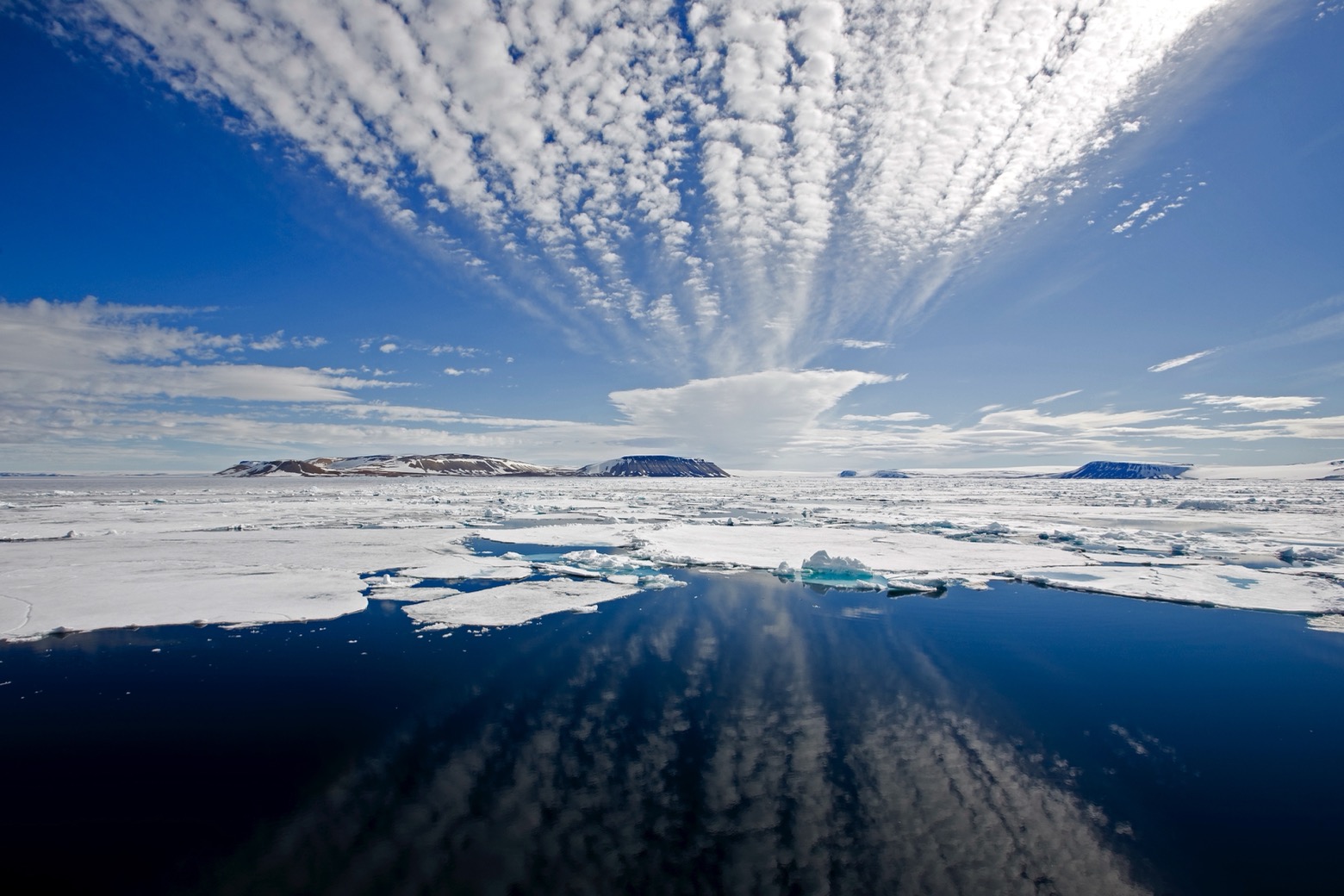 Door de ijszee van IJsland tot Spitsbergen