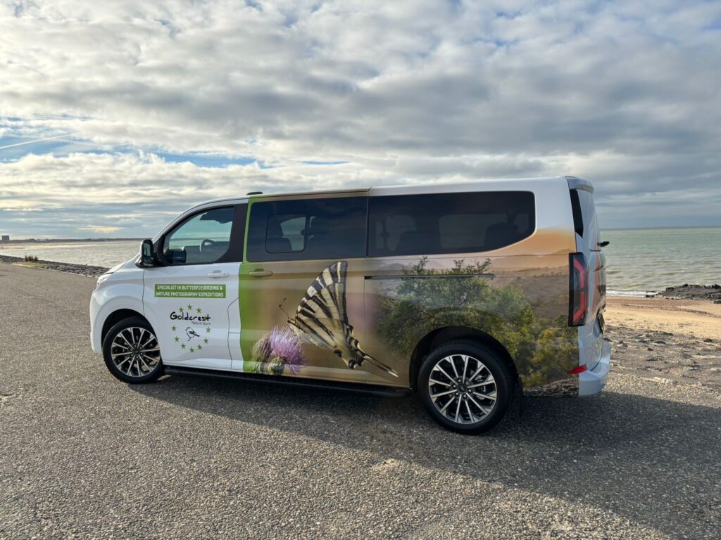 Minibus Goldcrest Nature Tours