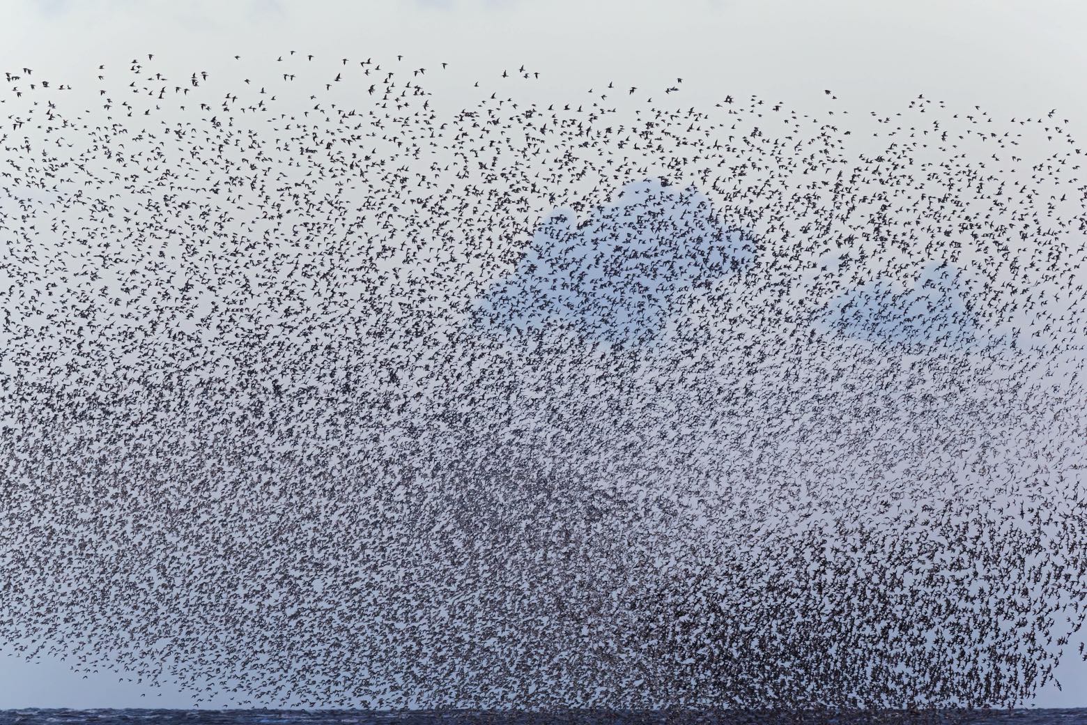 Kanoeten kust Norfolk