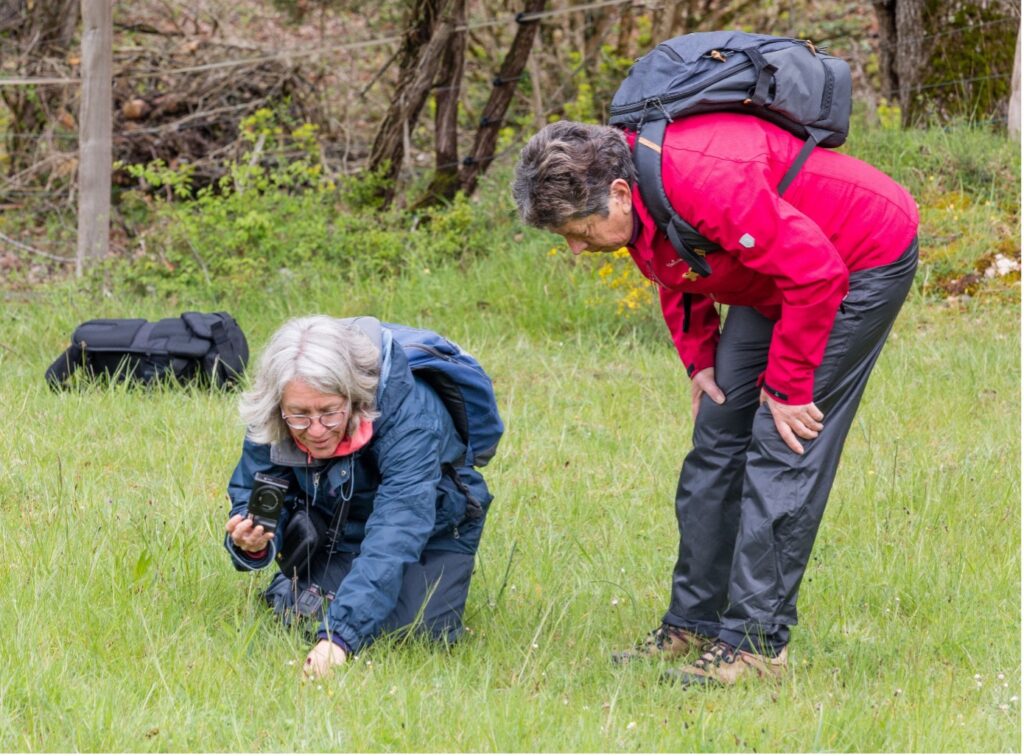 Selma Renting reisbegeleider Goldcrest Nature Tours